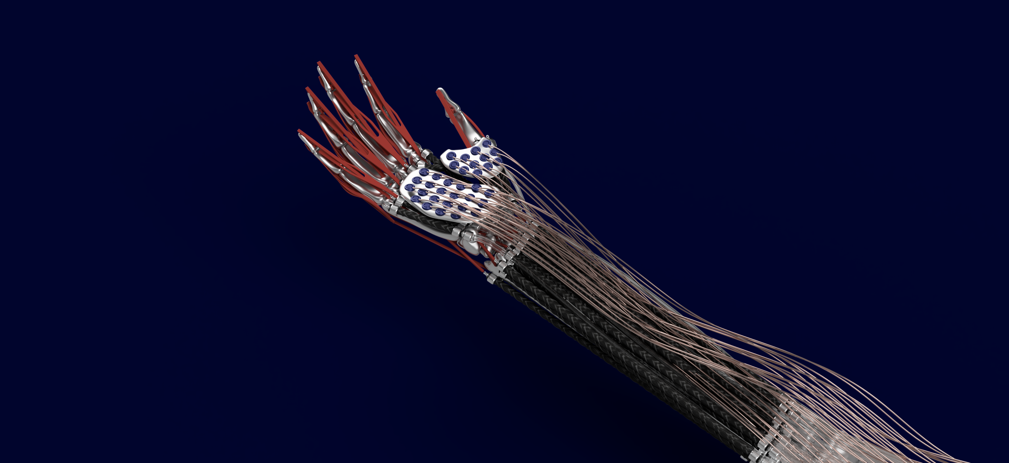 Genesis robotic hand: fingers with red tendons, a blue tactile sensor plate on the back, a forearm of braided McKibben muscles and a metal skeleton scanned from human bone.